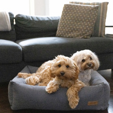 Siena Quilted Bolster Pet Bed